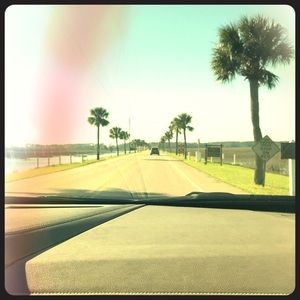 Meet your Posher, Patsy